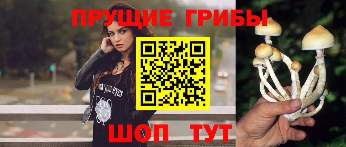 Псилоцибиновые грибы Psilocybine cubensis  наркота  Кондопога  Вход с VPN 